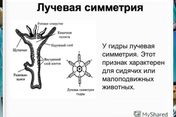 Black sprut ссылка рабочая